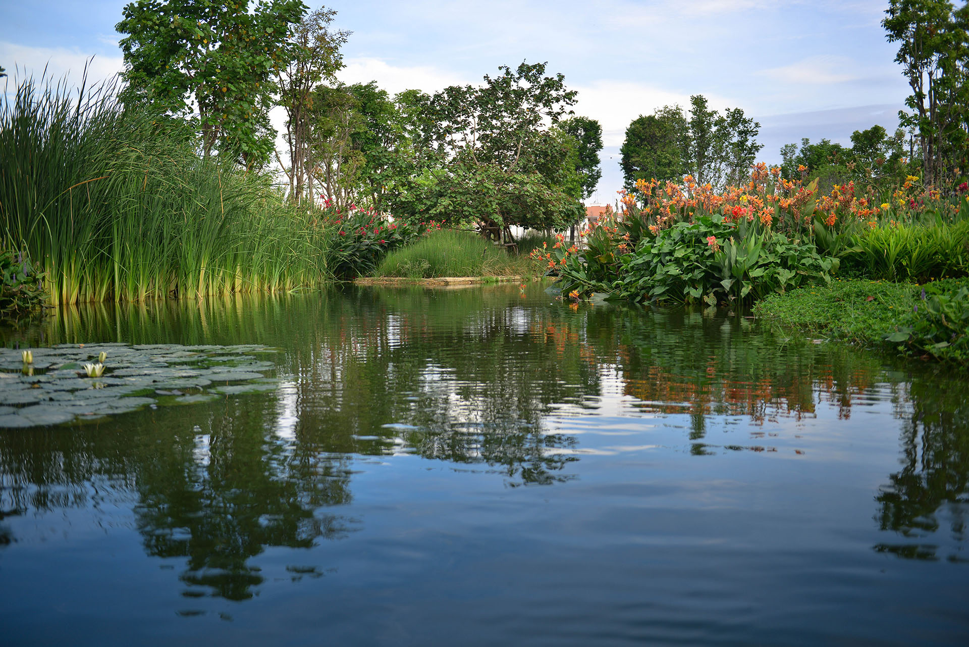 NATURAL BIO-FILTRATION SYSTEM