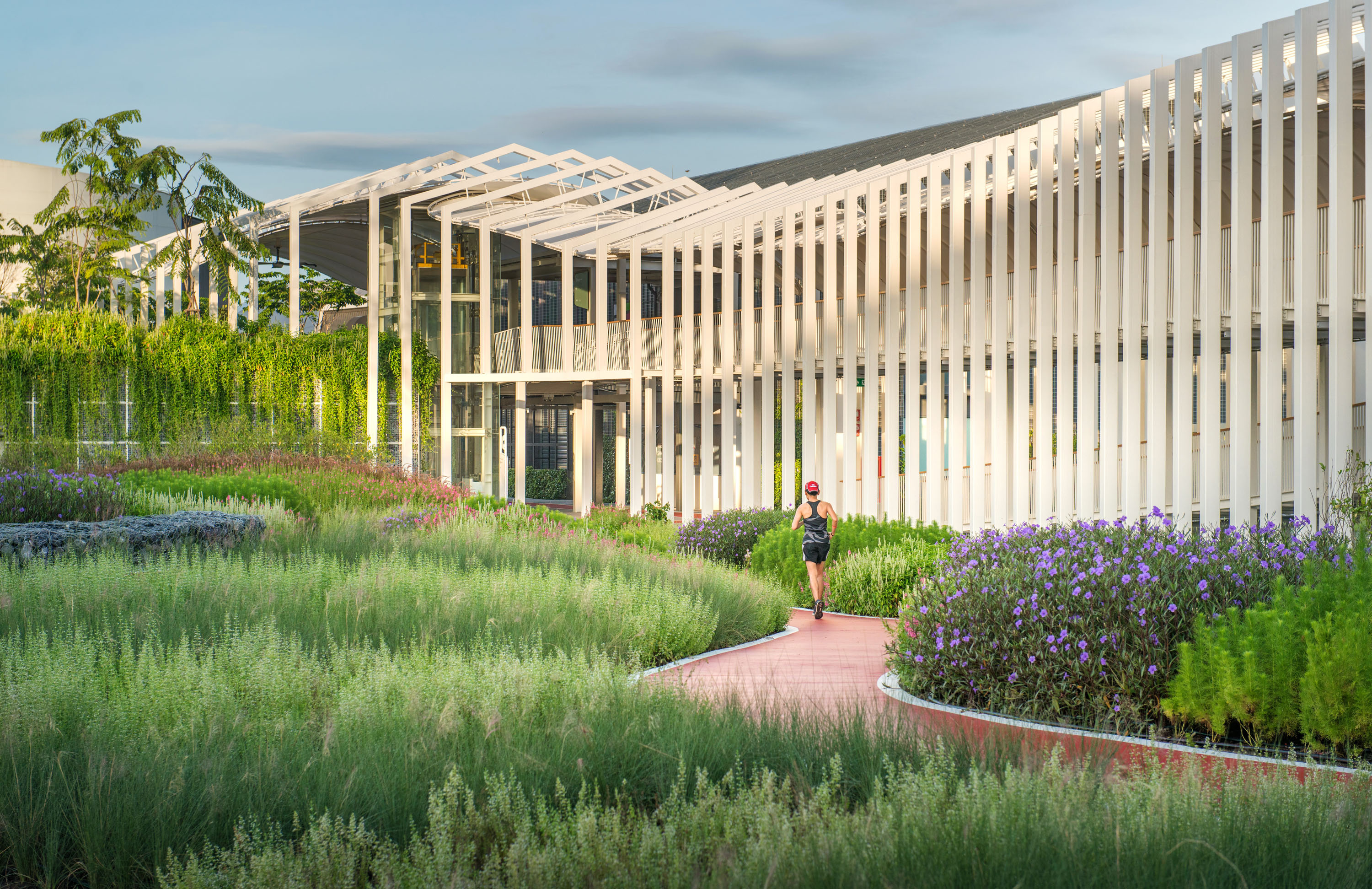 A PARK AS A GREEN CONNECTOR